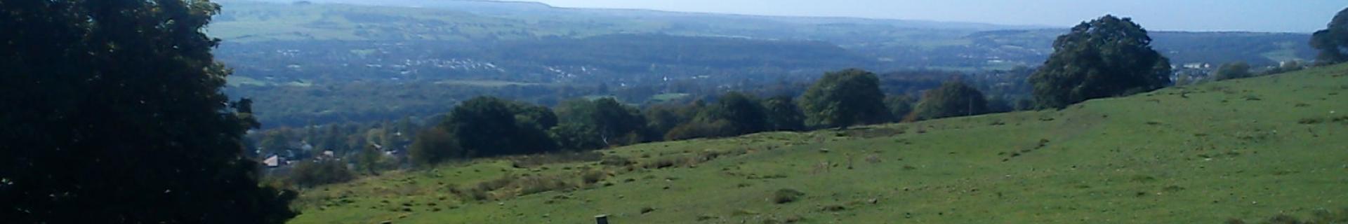 Banner image for Philip Davies MP for the Shipley constituency