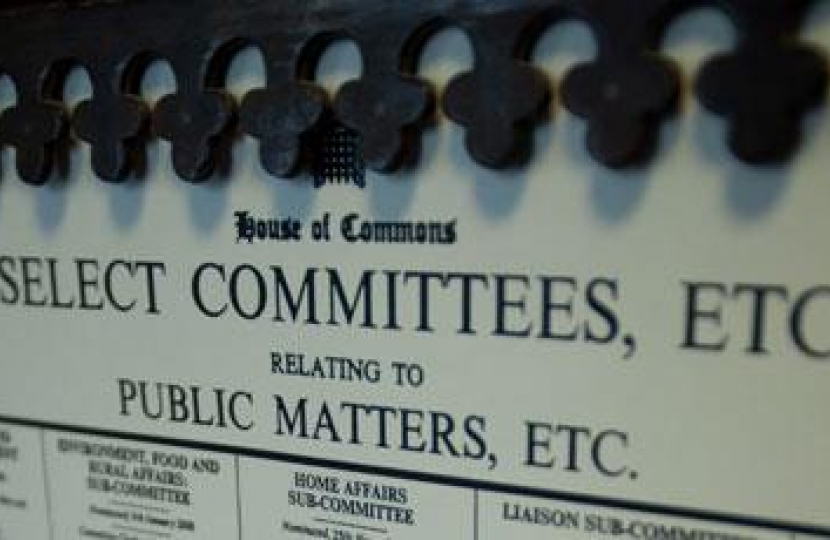 Select Committees
